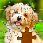 jigsaw-puzzles-picture-puzzle.png