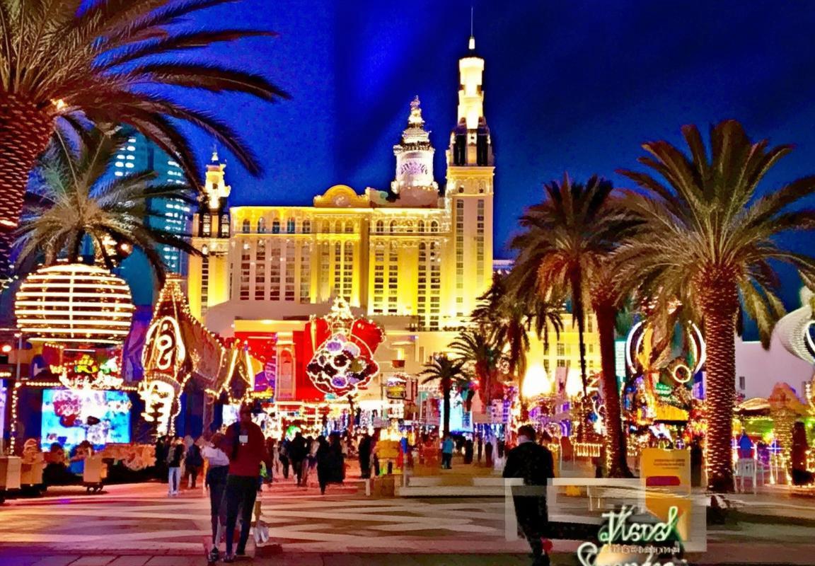 拉斯维加斯宝贝